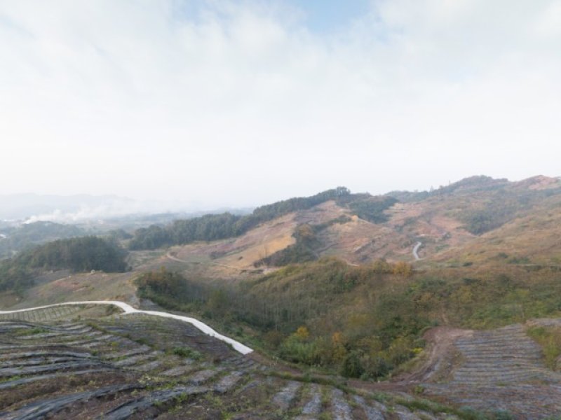 大竹县张家乡大坡寨旁边