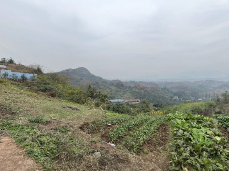 邻水县护邻乡穿洞村