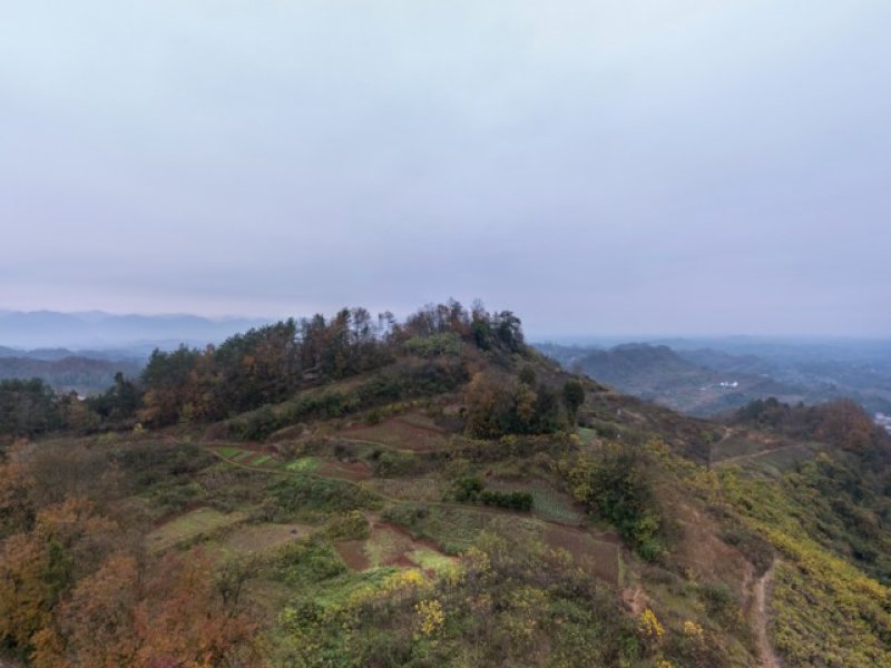 大竹县张家乡石油寨
