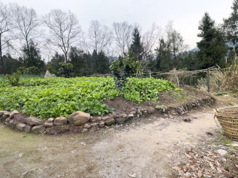 四川巴中西兴镇